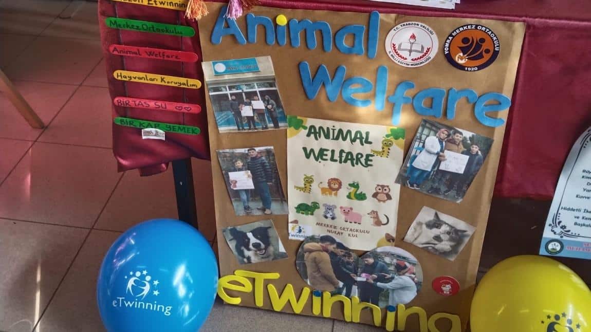 Animal Welfare E-twining Projemiz